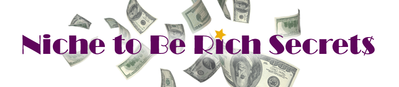 Niche to Be Rich Secrets - Promo Biz Coach